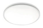 Šviestuvas lubinis apvalus pilkas TULA LED (24W, 1680lm, IP44, 4000K) GTV LD-TUL24W-NW-80