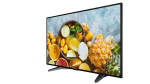 Hikvision SP 43" monitorius DS-D5043QE