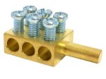 Trumpa neizoliuota šyna (6x16 mm²)